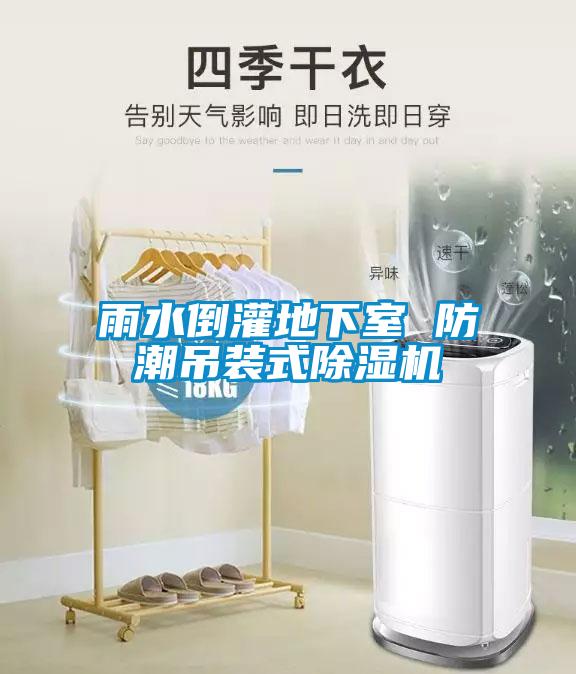 雨水倒灌地下室 防潮吊裝式除濕機(jī)