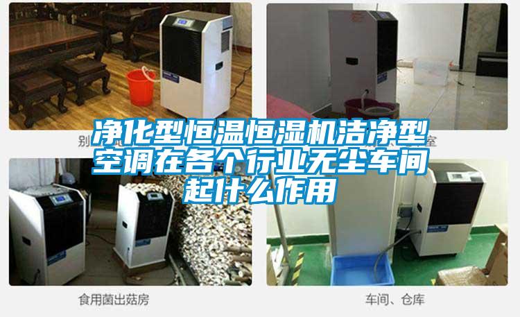 凈化型恒溫恒濕機(jī)潔凈型空調(diào)在各個行業(yè)無塵車間起什么作用