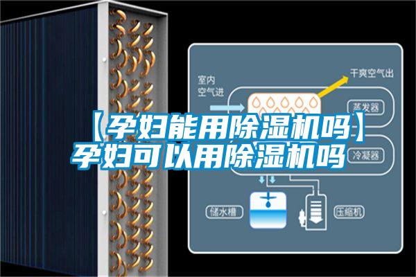 【孕婦能用除濕機嗎】孕婦可以用除濕機嗎