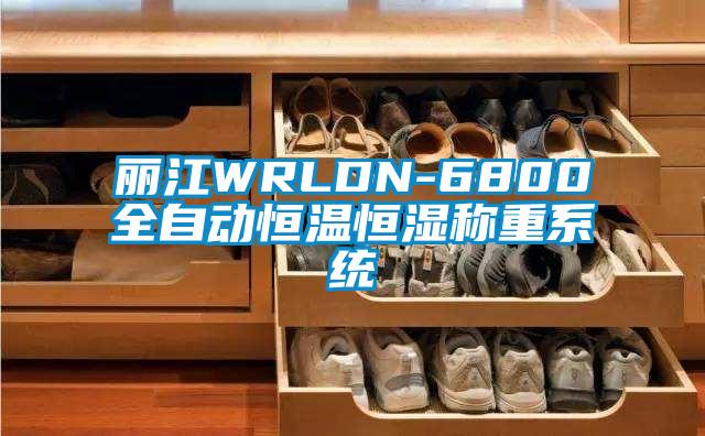 麗江WRLDN-6800全自動(dòng)恒溫恒濕稱重系統(tǒng)