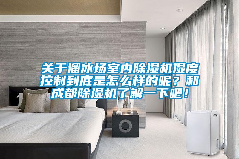 關于溜冰場室內除濕機濕度控制到底是怎么樣的呢？和成都除濕機了解一下吧！