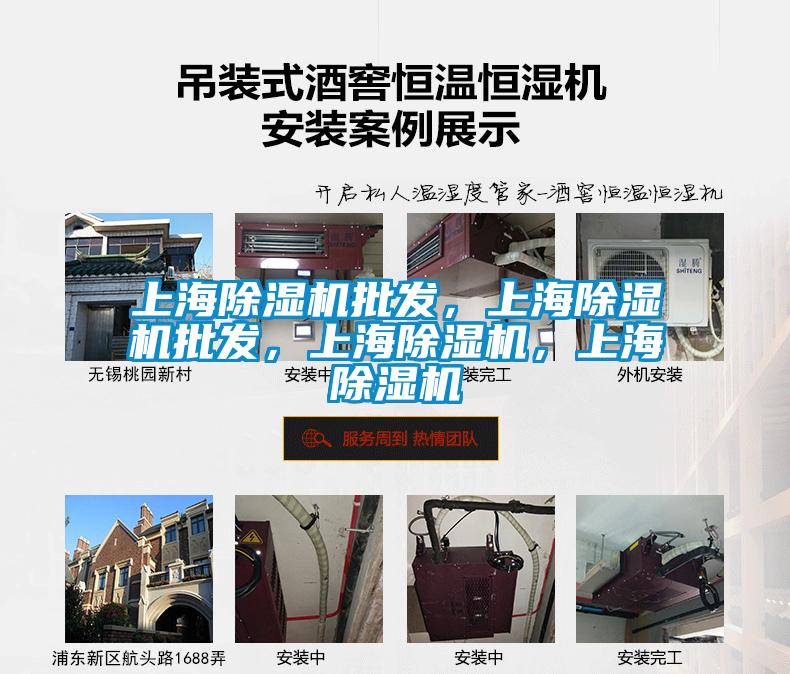 上海除濕機(jī)批發(fā)，上海除濕機(jī)批發(fā)，上海除濕機(jī)，上海除濕機(jī)