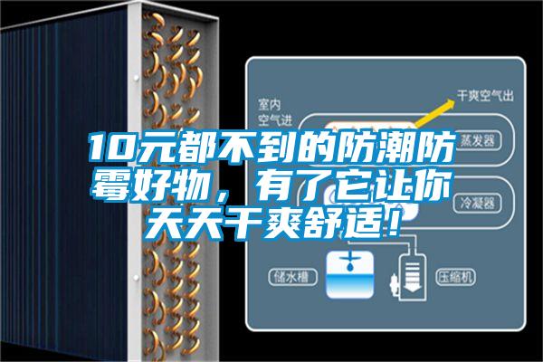10元都不到的防潮防霉好物，有了它讓你天天干爽舒適！