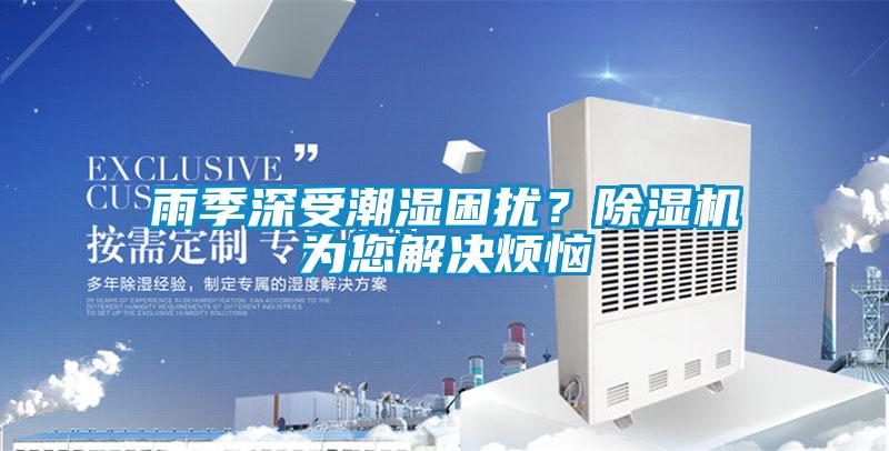 雨季深受潮濕困擾？除濕機(jī)為您解決煩惱
