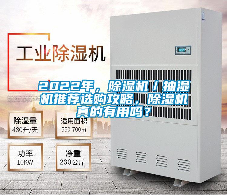 2022年，除濕機／抽濕機推薦選購攻略，除濕機真的有用嗎？