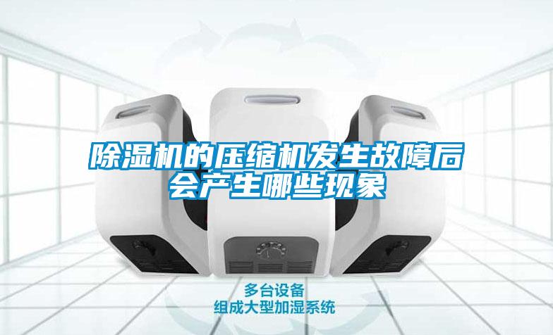 除濕機(jī)的壓縮機(jī)發(fā)生故障后會(huì)產(chǎn)生哪些現(xiàn)象