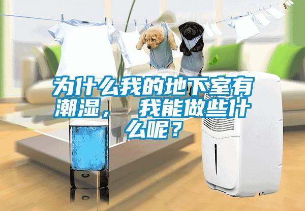 為什么我的地下室有潮濕， 我能做些什么呢？