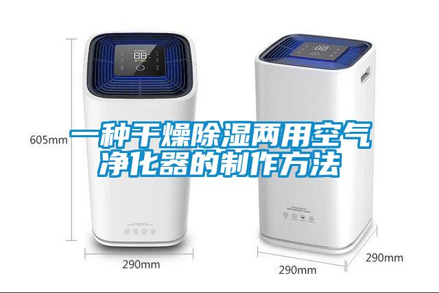 一種干燥除濕兩用空氣凈化器的制作方法