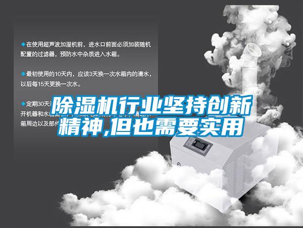 除濕機行業堅持創新精神,但也需要實用