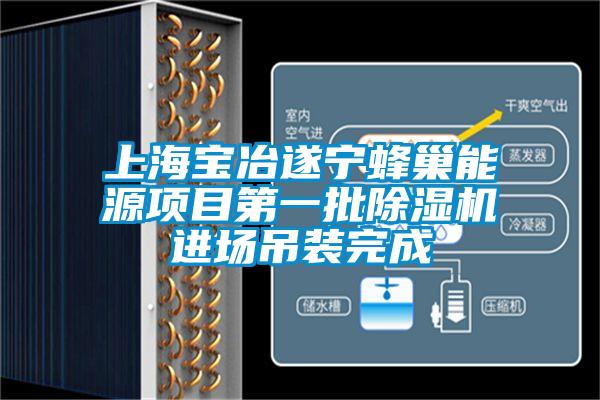 上海寶冶遂寧蜂巢能源項目第一批除濕機進場吊裝完成