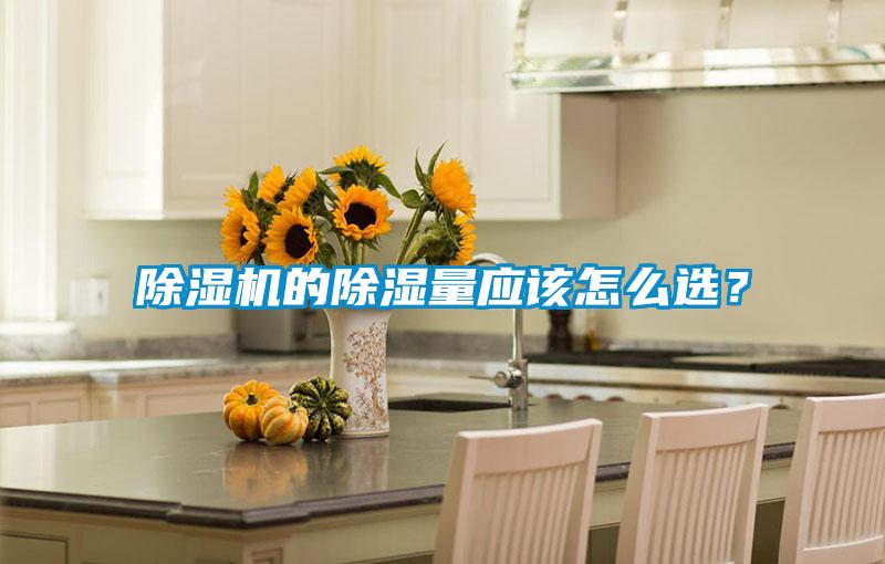 除濕機的除濕量應該怎么選？