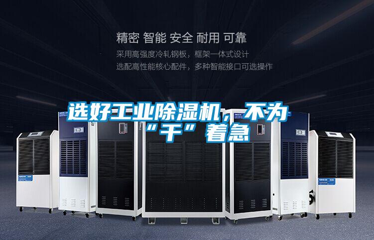 選好工業(yè)除濕機(jī)，不為“干”著急