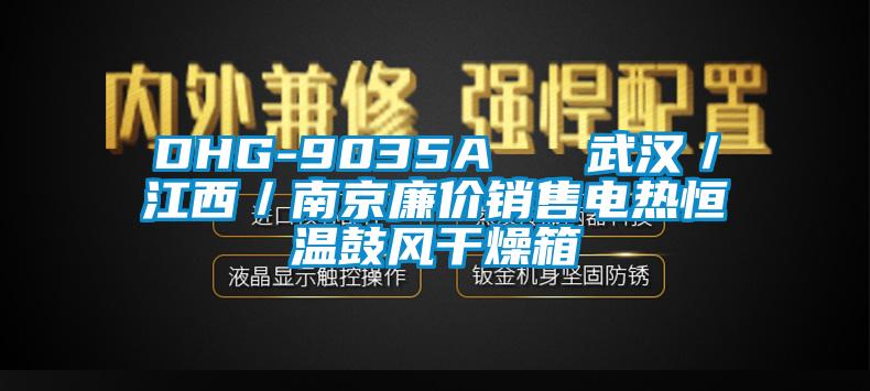 DHG-9035A   武漢／江西／南京廉價銷售電熱恒溫鼓風干燥箱