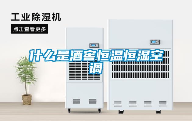什么是酒窖恒溫恒濕空調