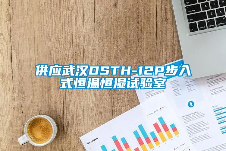 供應武漢DSTH-12P步入式恒溫恒濕試驗室