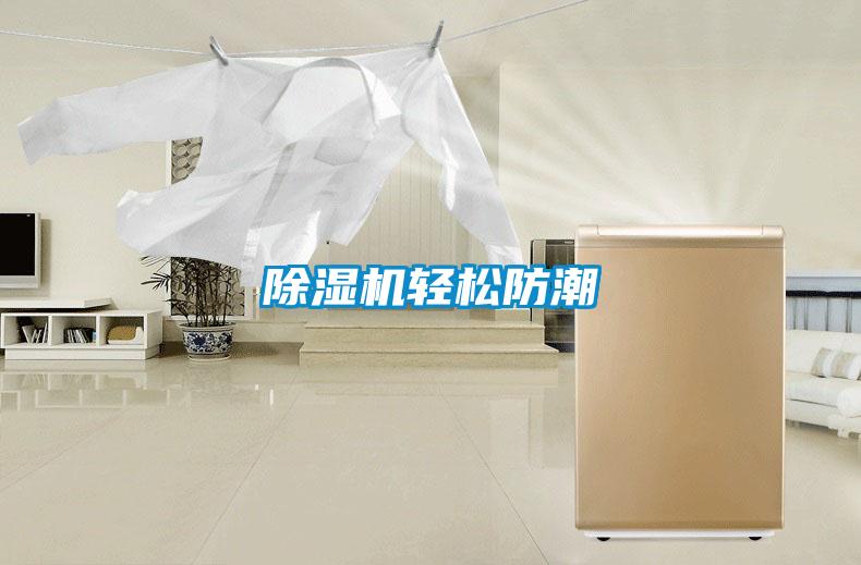 除濕機(jī)輕松防潮