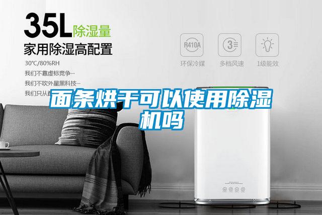 面條烘干可以使用除濕機(jī)嗎