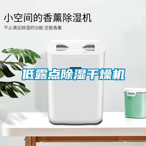 低露點除濕干燥機