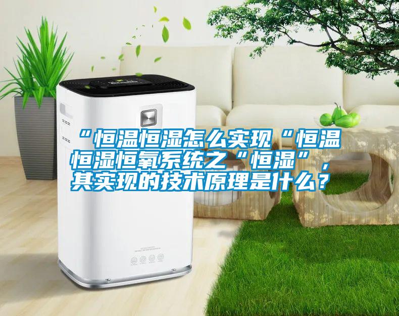 “恒溫恒濕怎么實現“恒溫恒濕恒氧系統之“恒濕”，其實現的技術原理是什么？