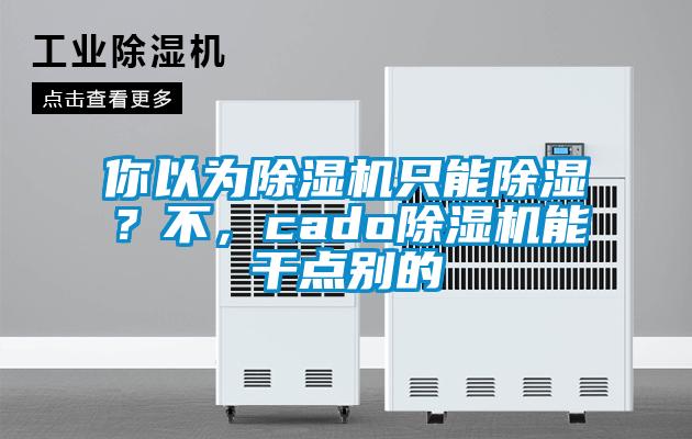 你以為除濕機(jī)只能除濕？不，cado除濕機(jī)能干點(diǎn)別的