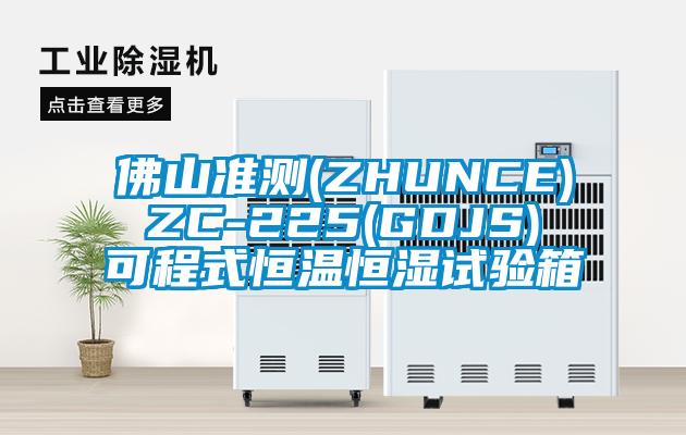 佛山準測(ZHUNCE) ZC-225(GDJS) 可程式恒溫恒濕試驗箱