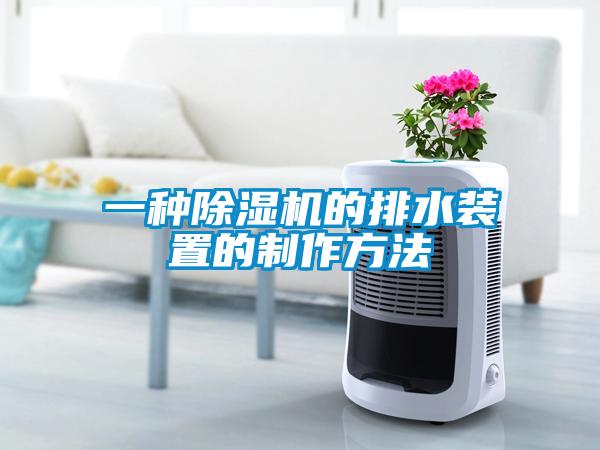 一種除濕機的排水裝置的制作方法