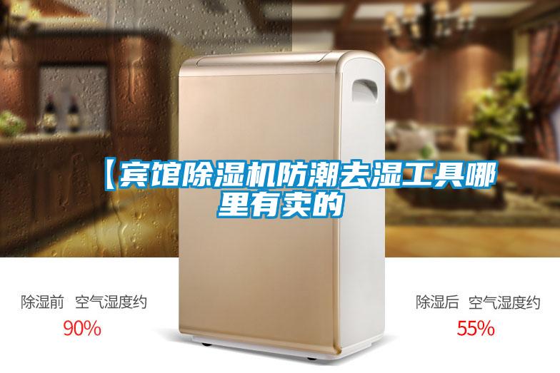 【賓館除濕機防潮去濕工具哪里有賣的