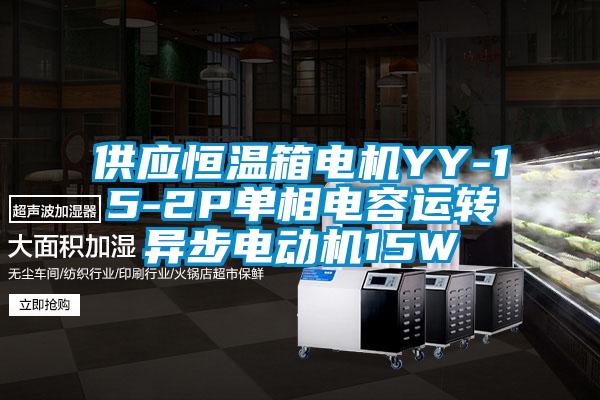 供應恒溫箱電機YY-15-2P單相電容運轉異步電動機15W