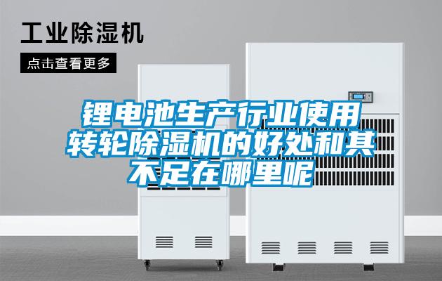 鋰電池生產行業使用轉輪除濕機的好處和其不足在哪里呢