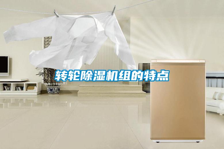 轉輪除濕機組的特點