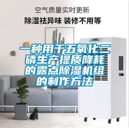 一種用于五氧化二磷生產(chǎn)提質降耗的露點除濕機組的制作方法