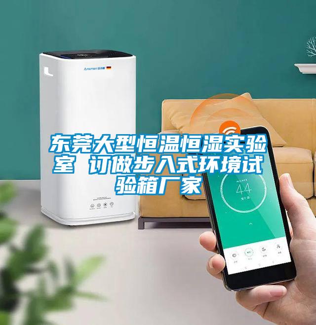 東莞大型恒溫恒濕實驗室 訂做步入式環境試驗箱廠家