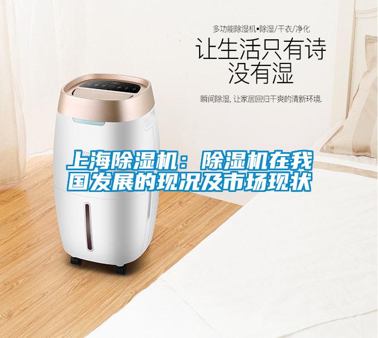 上海除濕機：除濕機在我國發(fā)展的現況及市場現狀
