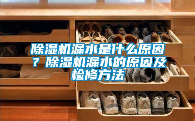 除濕機漏水是什么原因？除濕機漏水的原因及檢修方法