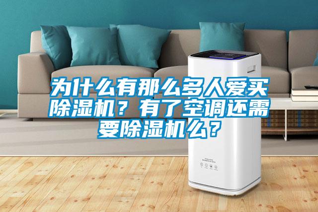 為什么有那么多人愛買除濕機？有了空調還需要除濕機么？