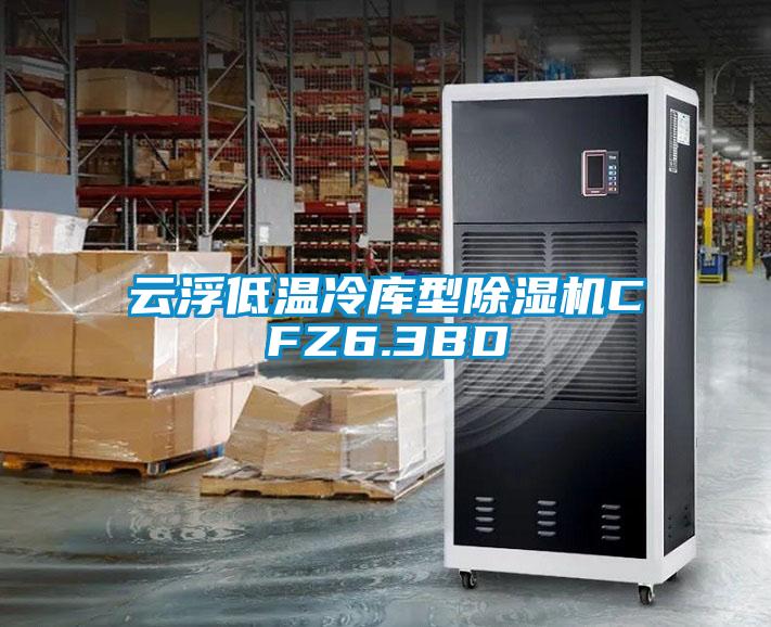 云浮低溫冷庫(kù)型除濕機(jī)CFZ6.3BD