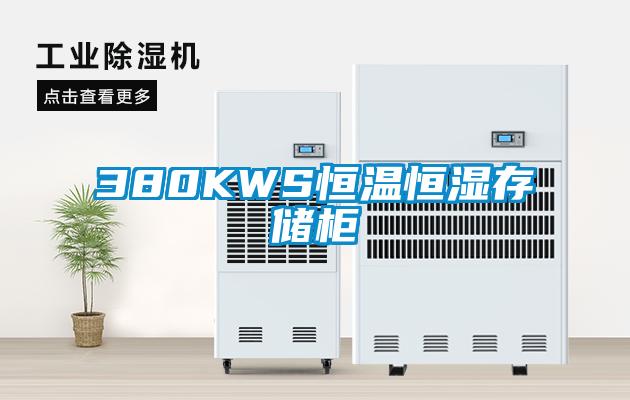 380KWS恒溫恒濕存儲柜