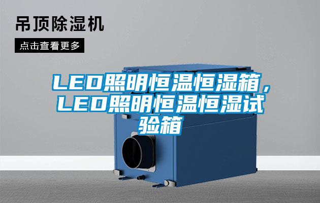LED照明恒溫恒濕箱，LED照明恒溫恒濕試驗箱