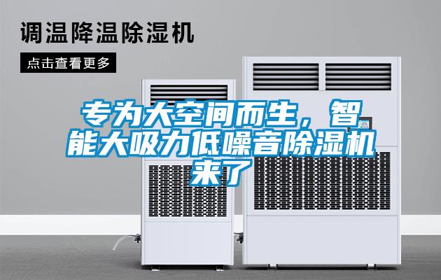 專為大空間而生，智能大吸力低噪音除濕機來了