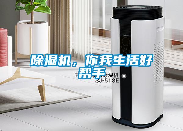 除濕機，你我生活好幫手