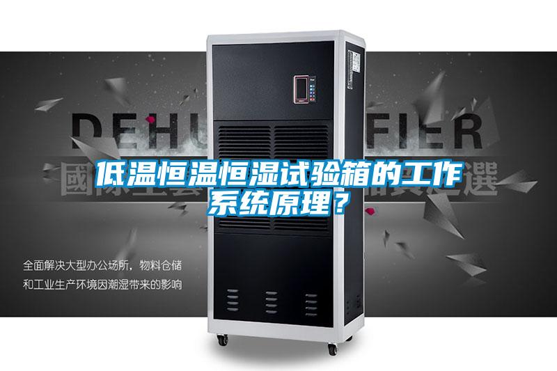 低溫恒溫恒濕試驗箱的工作系統(tǒng)原理？