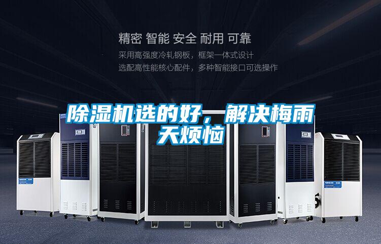 除濕機選的好，解決梅雨天煩惱