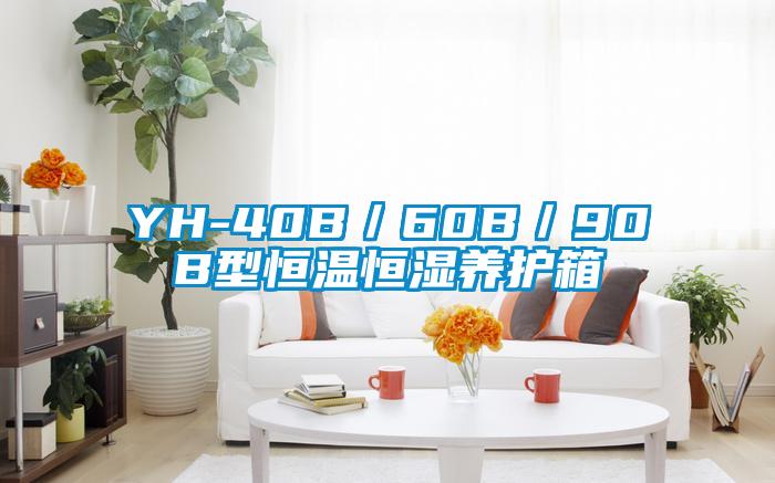 YH-40B／60B／90B型恒溫恒濕養護箱