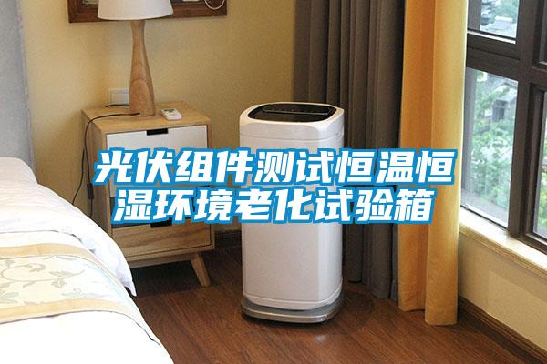 光伏組件測試恒溫恒濕環境老化試驗箱
