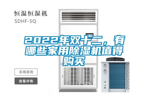 2022年雙十二，有哪些家用除濕機值得購買