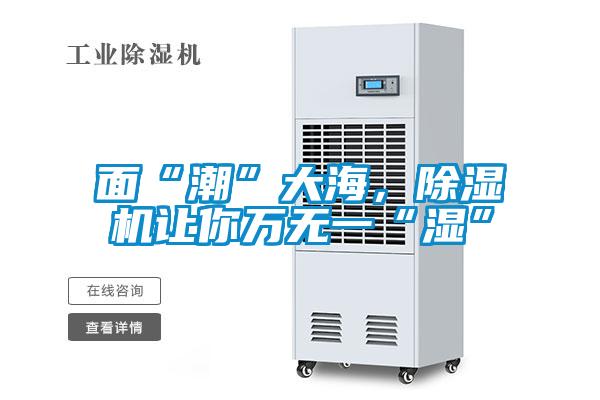 面“潮”大海，除濕機讓你萬無一“濕”