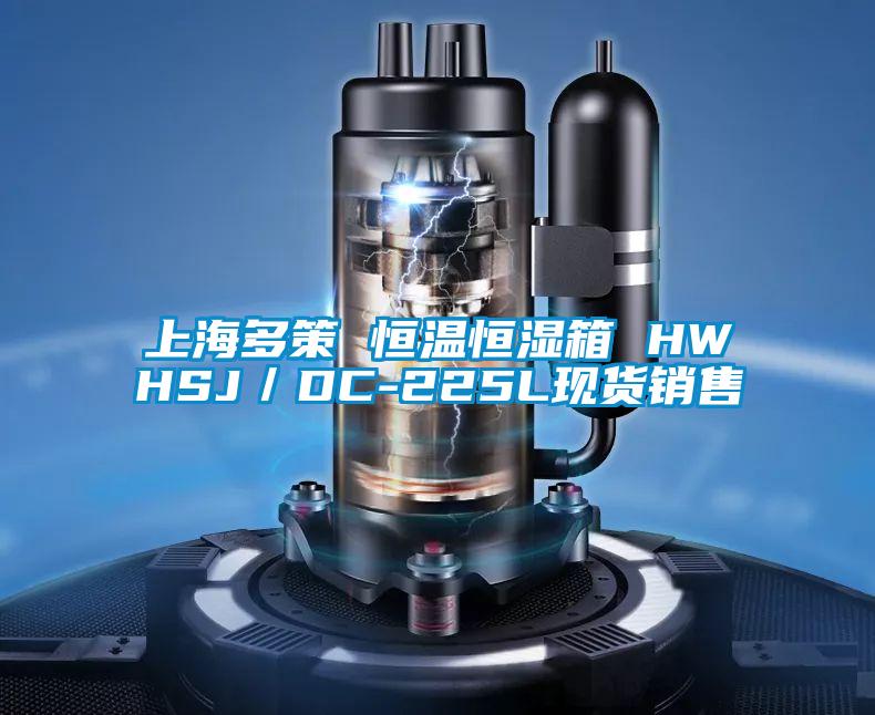 上海多策 恒溫恒濕箱 HWHSJ／DC-225L現貨銷售