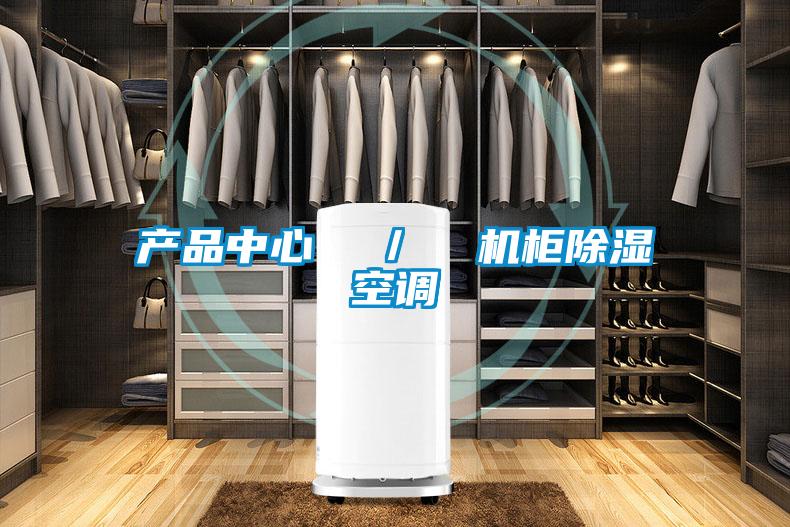 產品中心  ／  機柜除濕空調
