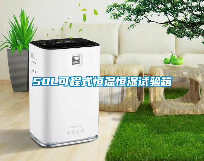 50L可程式恒溫恒濕試驗箱
