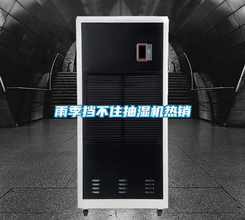 雨季擋不住抽濕機熱銷